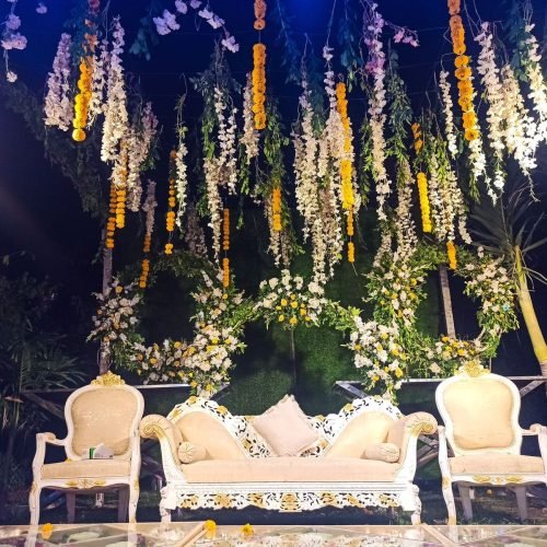 490578554_1229527405845444_4757491193642180647_n